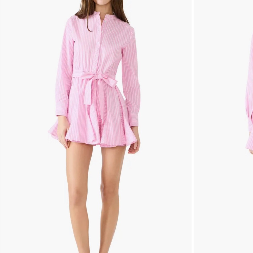NWOT Steve Madden Lorelei Stripe Tie Waist Long Sleeve Minidress